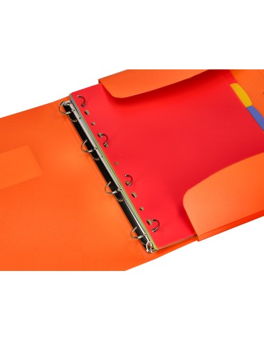 Carpeta beautone 4 anillas 25 mm con 5 separadores 3 solapas cierre gomas polipropileno din a4 color