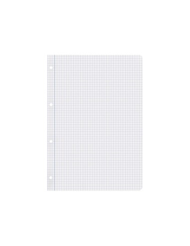 Recambio liderpapel a4 100 hojas papel reciclado 100 80g m2 cuadro 4mm con margen 4 taladros