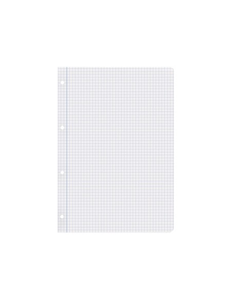 Recambio liderpapel a4 100 hojas papel reciclado 100 80g m2 cuadro 4mm con margen 4 taladros