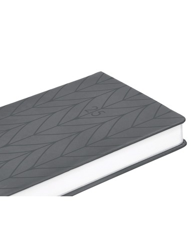 Agenda encuadernada liderpapel lipsi a5 2025 dia pagina color gris papel 70 gr