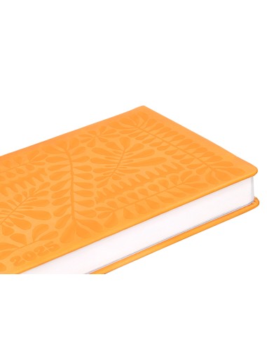 Agenda encuadernada liderpapel icaria a5 2025 dia pagina color amarillo papel 70 gr