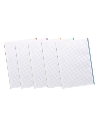 Recambio liderpapel a4 20050 hojas 90g m2 cuadro 5 mm 4 taladros bandas de 5 colores