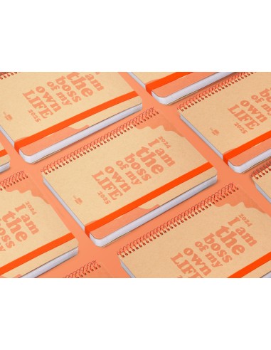 Agenda escolar liderpapel ano 24 25 curso fantasia kraft box dia pagina a5