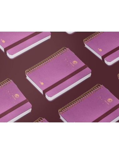 Agenda escolar liderpapel ano 24 25 curso classic lines morado dia pagina a6