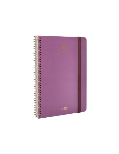 Agenda escolar liderpapel ano 24 25 curso classic lines morado 2 dias pagina a5