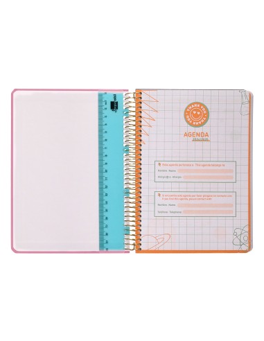 Agenda escolar liderpapel ano 24 25 curso classic lines rosa 2 dias pagina a5