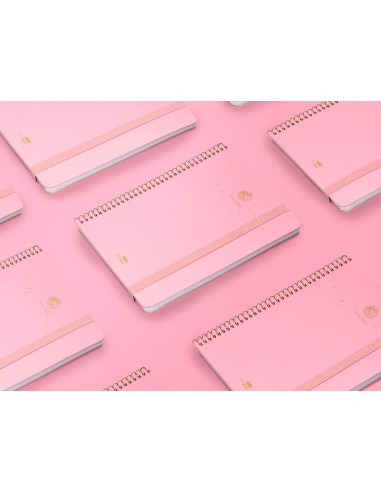 Agenda escolar liderpapel ano 24 25 curso classic lines rosa 2 dias pagina a5