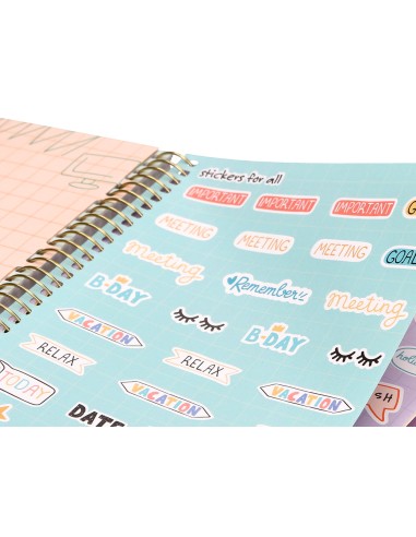 Agenda escolar liderpapel ano 24 25 curso classic lines morado dia pagina a5