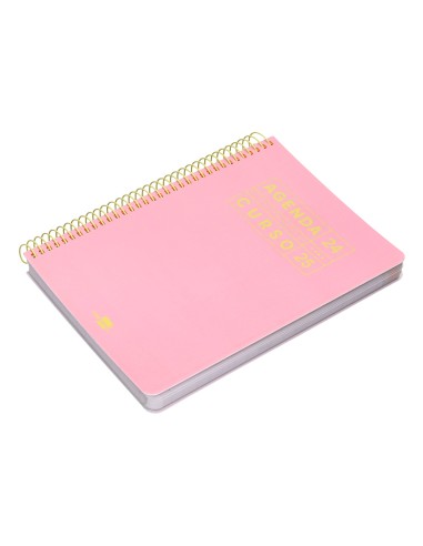 Agenda escolar liderpapel ano 24 25 curso basic rosa dia pagina a5