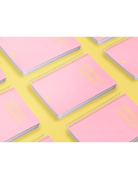 Agenda escolar liderpapel ano 24 25 curso basic rosa dia pagina a5