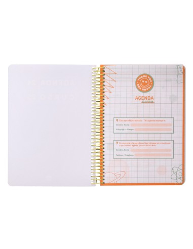 Agenda escolar liderpapel ano 24 25 curso basic surtido dia pagina a5