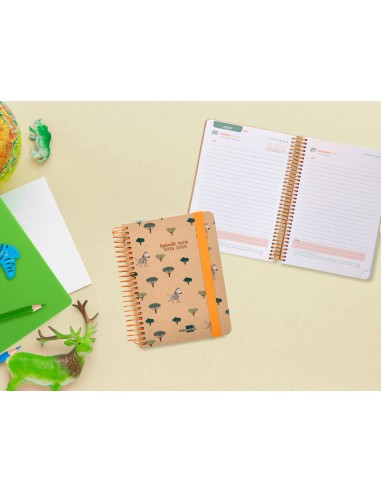 Agenda escolar liderpapel ano 24 25 escolar classic surtido dia pagina a6 catalan