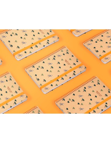 Agenda escolar liderpapel ano 24 25 escolar classic zebra semana vista a5 papel fsc banda elastica