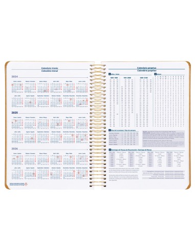 Agenda espiral liderpapel zant e a5 2025 dia pagina color amarillo papel 70 gr