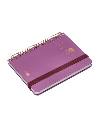 Agenda escolar liderpapel ano 24 25 curso classic lines morado 2 dias pagina a6