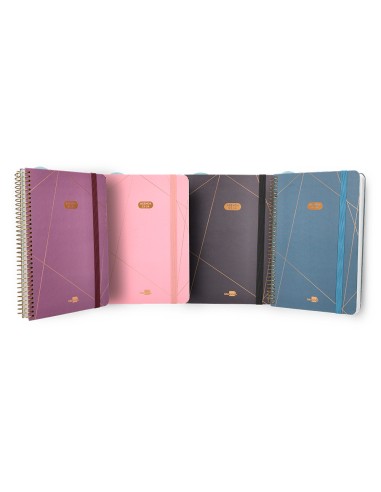 Agenda escolar liderpapel ano 24 25 curso classic lines surtido 2 dias pagina a5