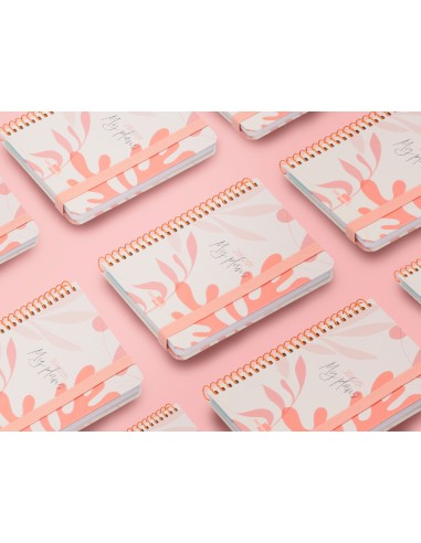 Agenda escolar liderpapel ano 24 25 curso classic my plans coral 2 dias pagina a6