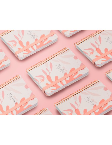 Agenda escolar liderpapel ano 24 25 curso classic my plans coral 2 dias pagina a6