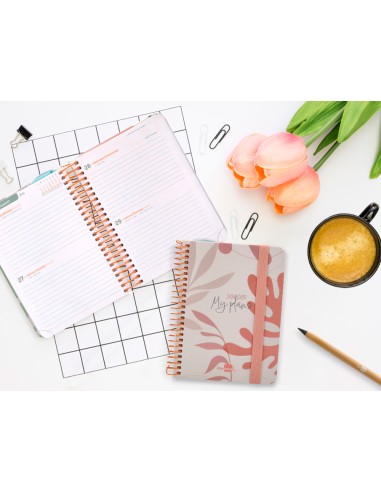 Agenda escolar liderpapel ano 24 25 curso classic my plans coral 2 dias pagina a6