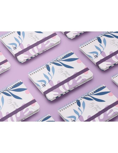 Agenda escolar liderpapel ano 24 25 curso classic my plans blue 2 dias pagina a6