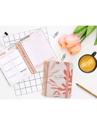 Agenda escolar liderpapel ano 24 25 curso classic my plans coral dia pagina a6