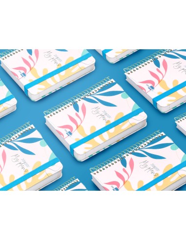 Agenda escolar liderpapel ano 24 25 curso classic my plans surtido dia pagina a6