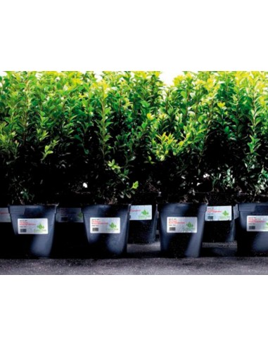 Etiqueta adhesiva resistente avery poliester blanco laser 457x212 mm caja de 960 unidades