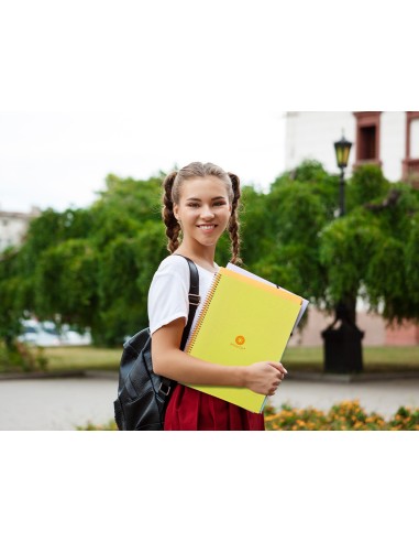 Cuaderno espiral a4 micro antartik dots tapa forrada 80h 90 gr rayado puntos 1 banda 4 taladros amarillo