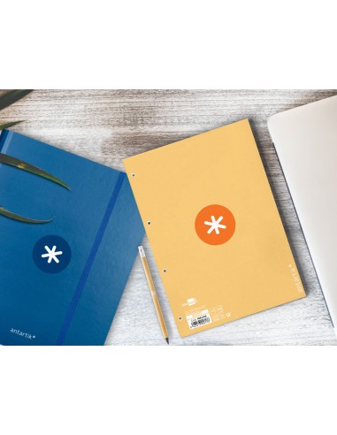 Recambio a4 antartik 80 hojas 90g m2 cuadro 5mm 4 taladros 1 banda con marco color peach