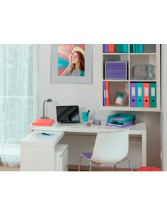 Archivador de palanca esselte colour breeze carton forrado pvc din a4 lomo 75 mm color malva