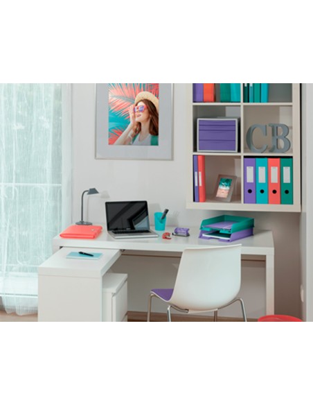 Archivador de palanca esselte colour breeze carton forrado pvc din a4 lomo 75 mm color coral