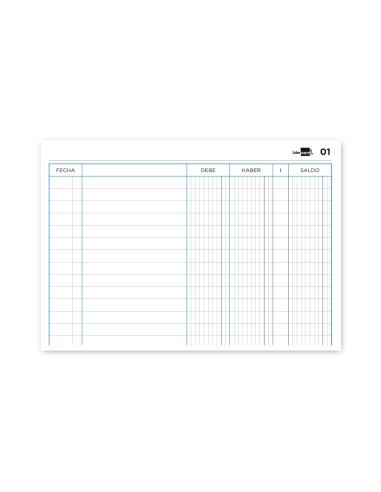 Libro liderpapel cuarto apaisado cartone 100 hojas cuentas corrientes debe haber y saldo