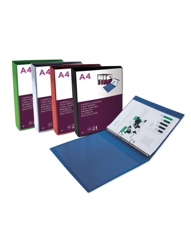 Carpeta liderpapel canguro 2 anillas 25 mm mixtas polipropileno din a4 azul translucido