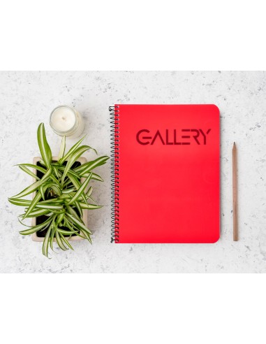 Cuaderno espiral liderpapel microperforado a5 80h horizontal 5 colores 6 taladros gallery