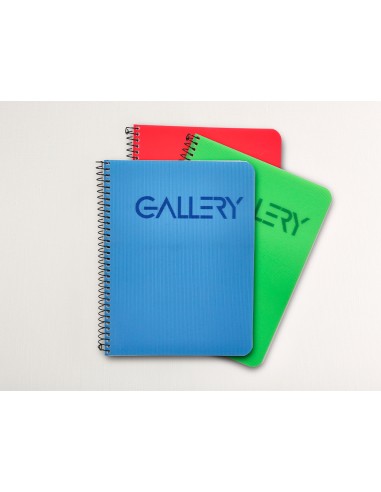 Cuaderno espiral liderpapel microperforado a5 80h horizontal 5 colores 6 taladros gallery