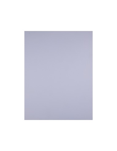 Cartulina liderpapel 50x65 cm lila 240 gr unidad