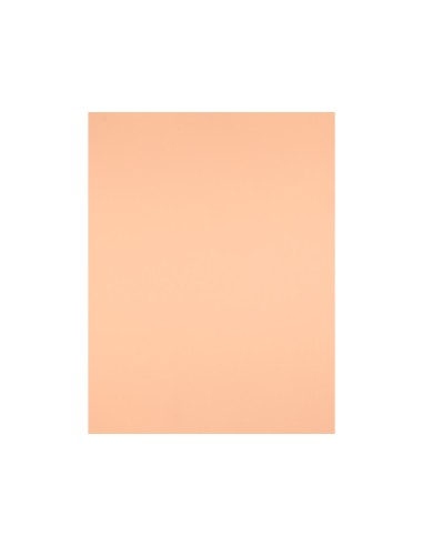 Cartulina liderpapel 50x65 cm 240g m2 sepia