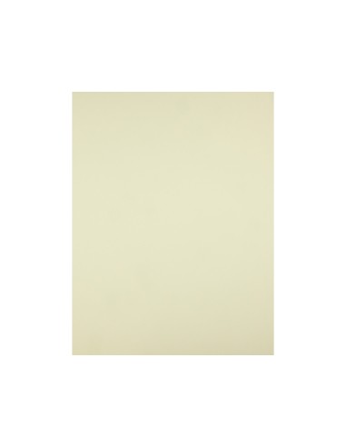 Cartulina liderpapel 50x65 cm 240g m2 amarillo