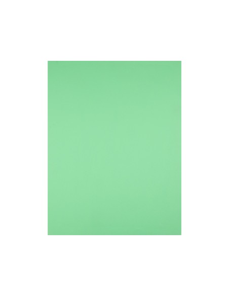 Cartulina liderpapel 50x65 cm 240g m2 verde pistacho