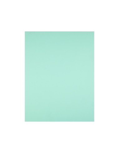 Cartulina liderpapel 50x65 cm 240g m2 verde