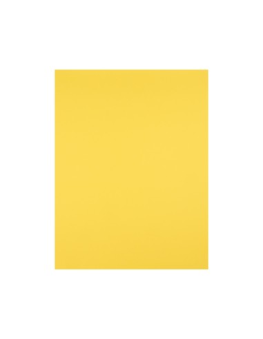 Cartulina liderpapel 50x65 cm 240g m2 amarillo limon