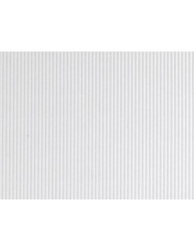 Carton ondulado liderpapel 50 x 70cm 320g m2 blanco