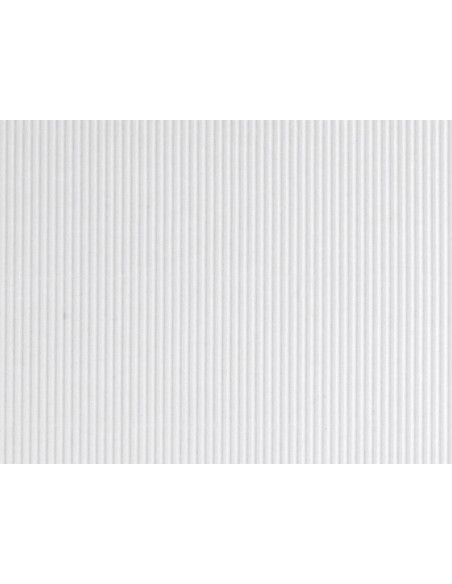 Carton ondulado liderpapel 50 x 70cm 320g m2 blanco