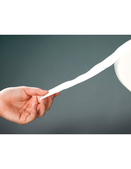 Papel secamanos 2 capas 199 mm x 135 mt mandril 70 mm diametro 197 mm Papel secamanos 2 capas 199 mm x 135 mt mandril 70 mm diametro 197 mm