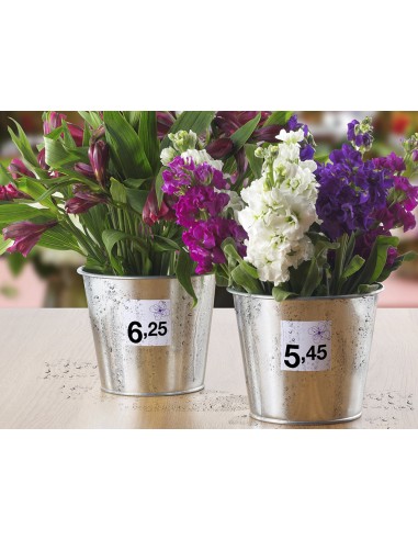 Etiqueta adhesiva avery removible tamano 254x10 mm caja de 4725 unidades