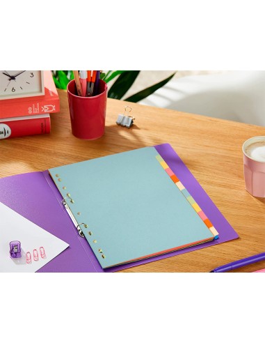 Separador q connect cartulina juego de 12 separadores din a4 multitaladro