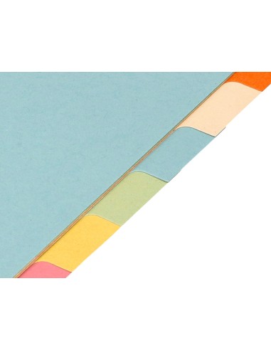 Separador q connect cartulina juego de 12 separadores din a4 multitaladro