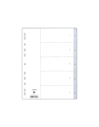 Separador numerico q connect plastico 1 5 juego de 5 separadores din a4 multitaladro