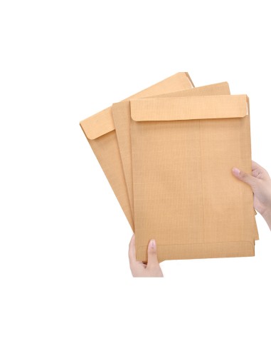 Sobre liderpapel bolsa n4 kraft salarios 132x187 mm tira de silicona caja de 500 unidades