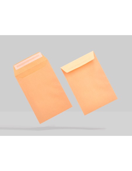 Sobre liderpapel bolsa n0 cel cana salarios 100x145mm tira silicona caja de 1000 unidades